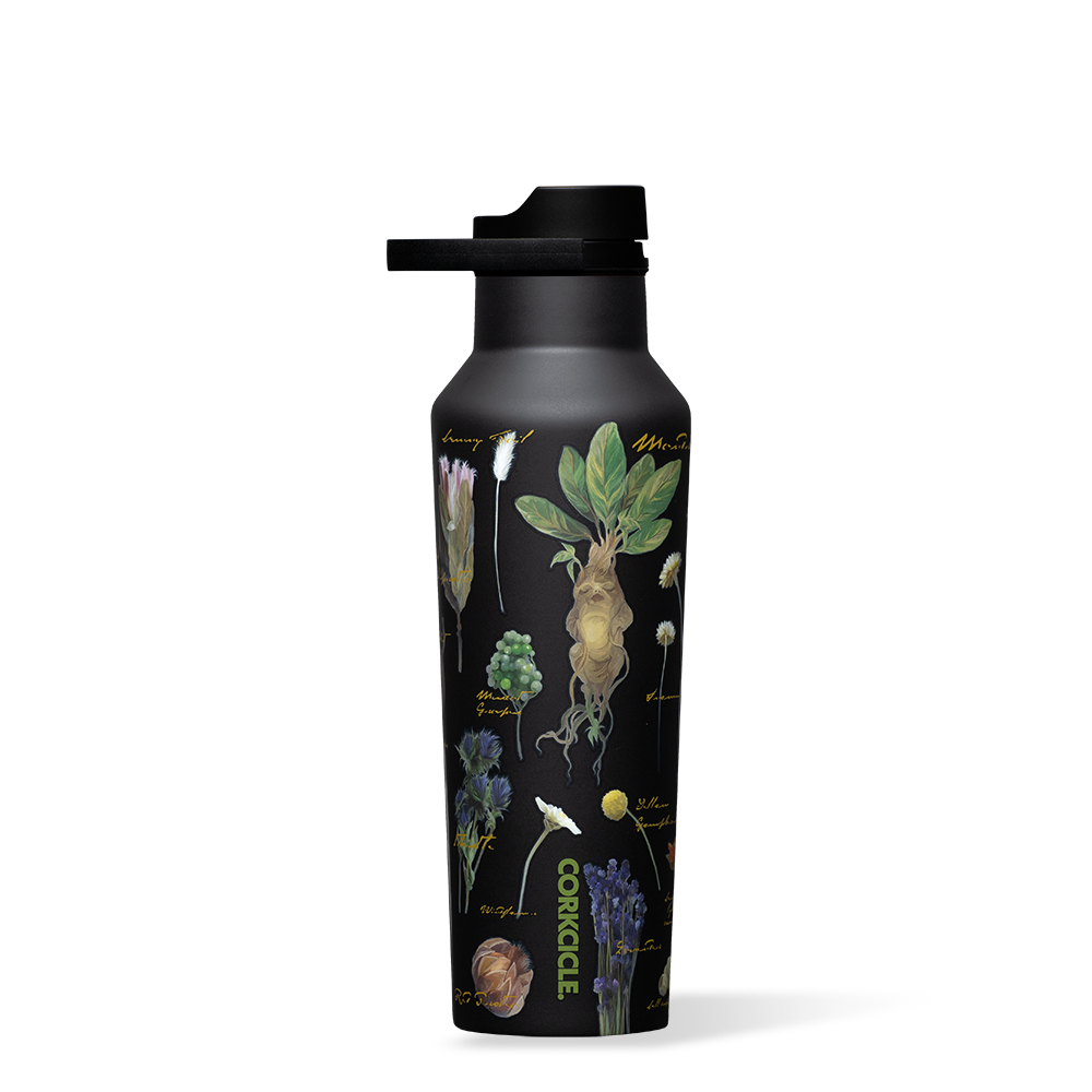 Harry Potter Sport Canteen - Clean Set