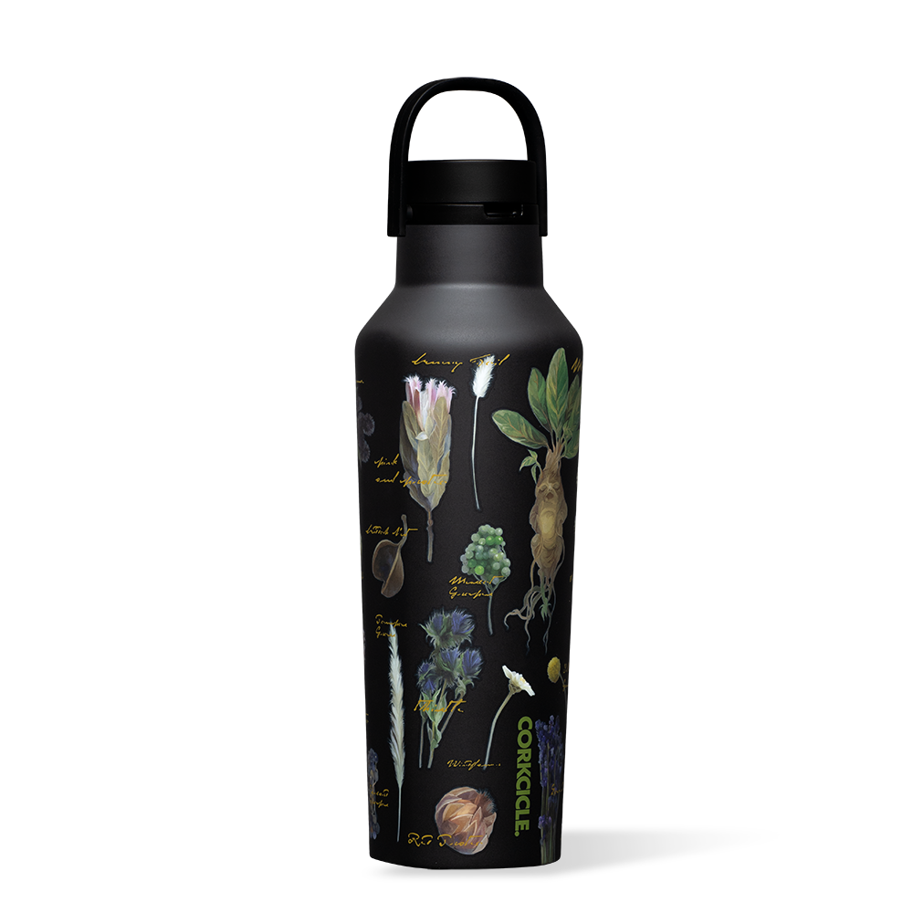 Harry Potter Sport Canteen - Clean Set