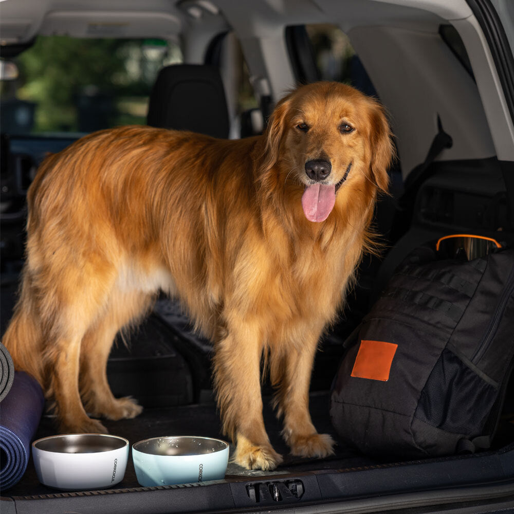 Dog Bowl - Modern Travel Pack Fit